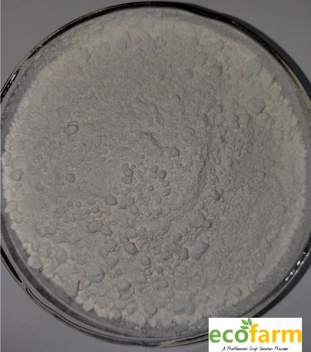 Chlorfenapyr 98%TC